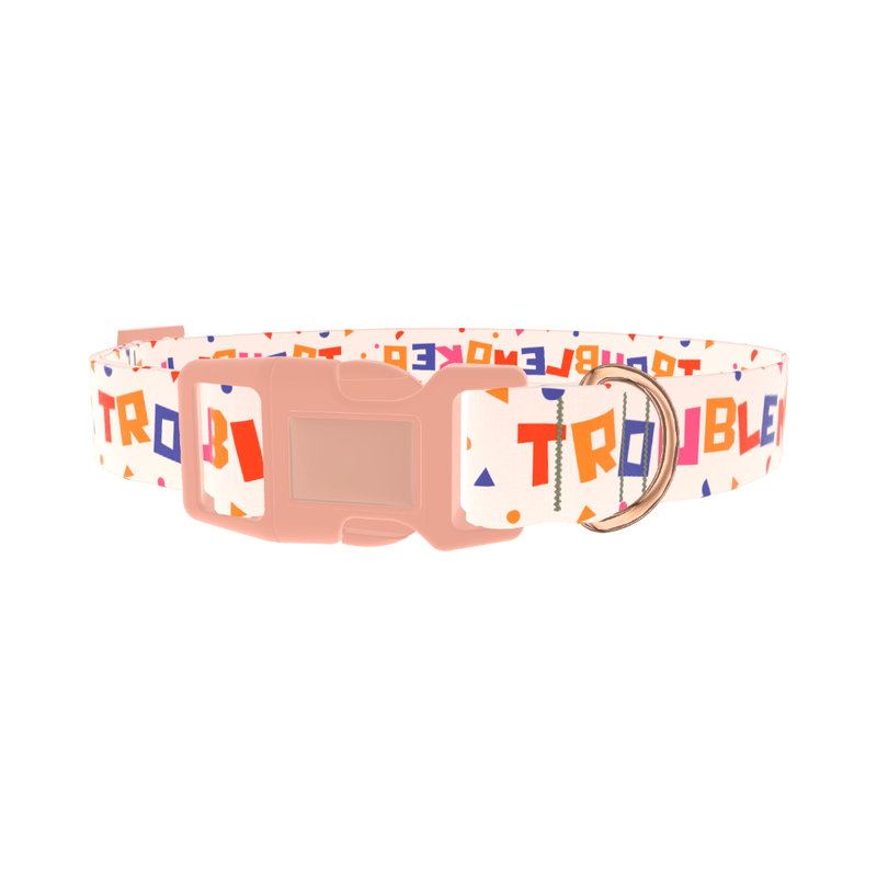 Geometric Letter Dog Collar - plastic rose gold
