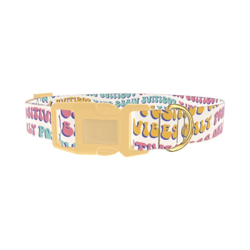 Positive Vibes Text Dog Collar - plastic gold