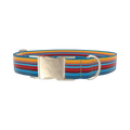 Colorful Geometric Stripe Dog Collar - metal gold