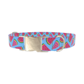 Geometric Watermelon Dog Collar - metal gold