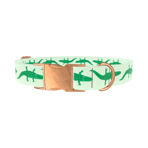 CROCODILES_RE