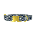 Football Sports Dog Collar - metal gold