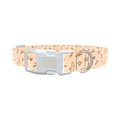 Southwestern Desert Dog Collar - plastic gold