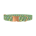 Green Dachshund Sweater Dog Collar - metal rose gold