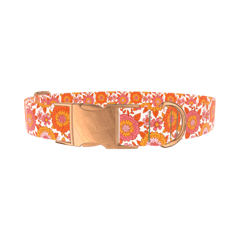 Orange Floral Burst Dog Collar - metal rose gold