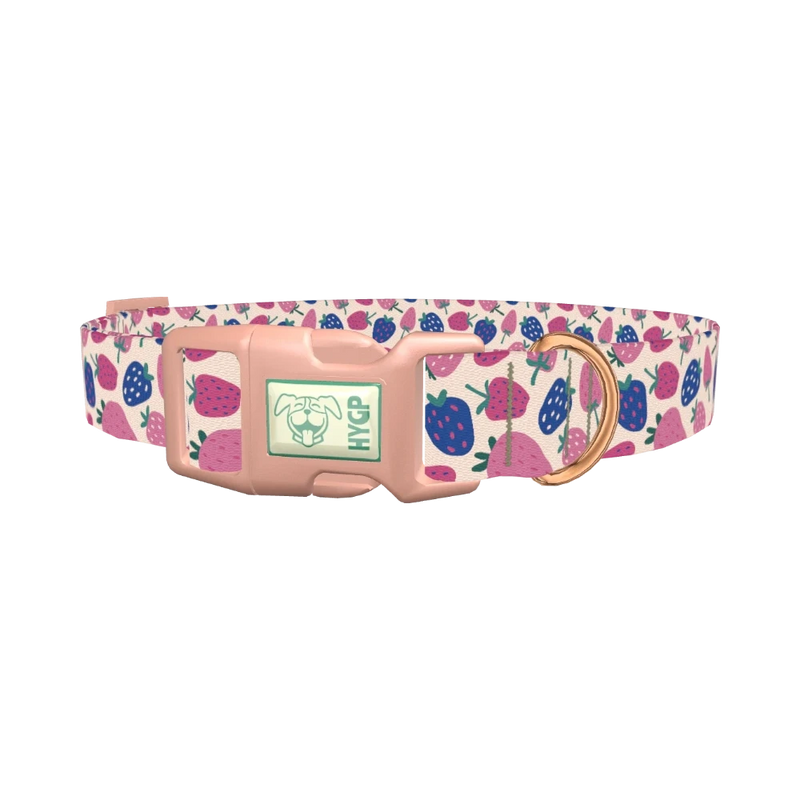 Fruit Strawberry Dog Collar - plastic rose gold
