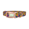 Floral Sunflower Dog Collar - plastic rose gold