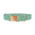Cucumber Pattern Dog Collar - metal rose gold