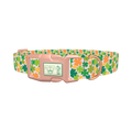 Multicolor Clover Dog Collar - plastic rose gold