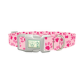 Heart Paw Valentine Dog Collar - plastic silver