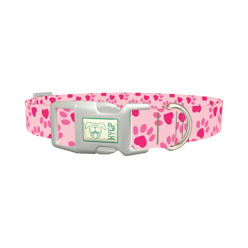 Heart Paw Valentine Dog Collar - plastic silver