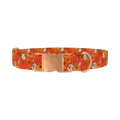 Autumn Harvest Pumpkin Dog Collar - metal rose gold