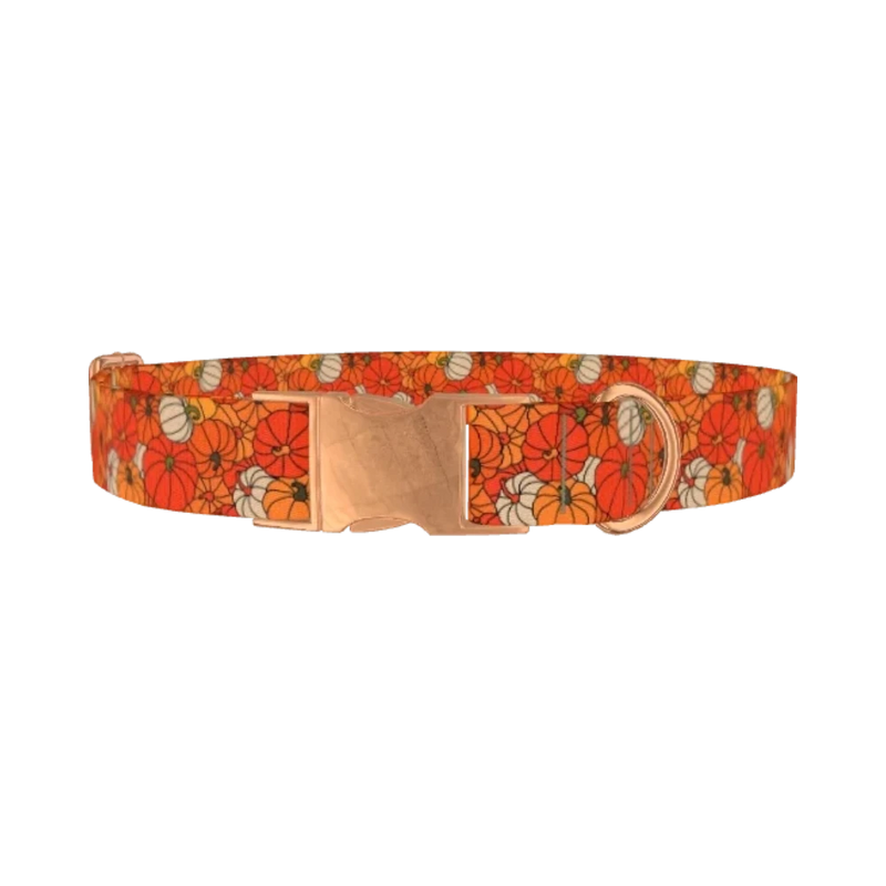 Autumn Harvest Pumpkin Dog Collar - metal rose gold