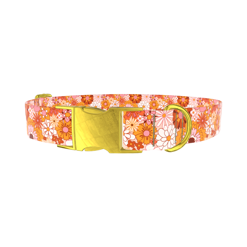 Retro Flower Burst Dog Collar - metal gold