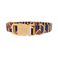 Striped Football 8870462849239 Dog Collar - plastic gold