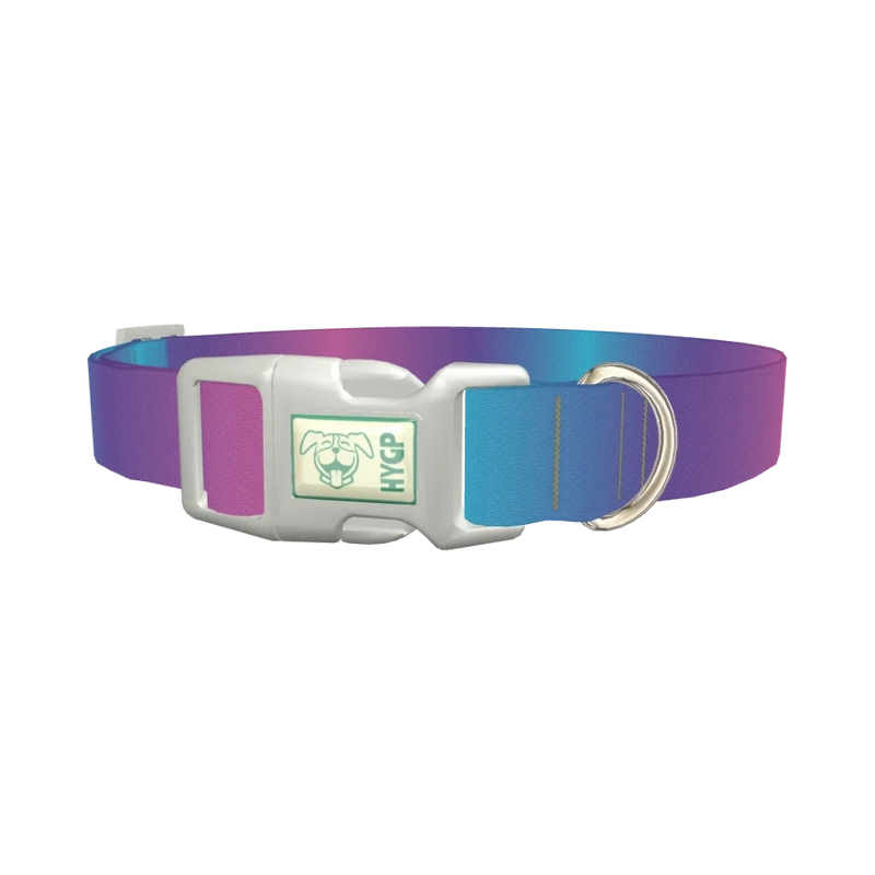 Blue Pink Ombre Dog Collar - plastic silver