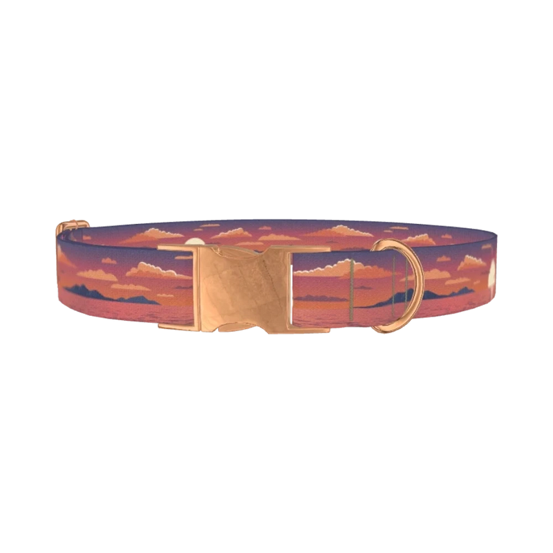 Southwest Desert Dog Collar - metal rose gold