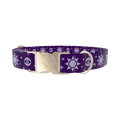 Mystical Sun Eye Dog Collar - metal gold