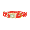 Red Christmas Reindeer Dog Collar - plastic gold