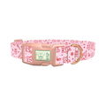 Christmas Holiday Dog Collar - plastic rose gold