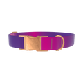 Pink Purple Gradient Dog Collar - metal rose gold