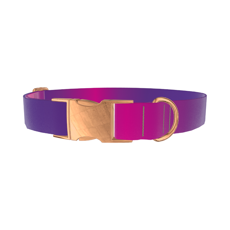 Pink Purple Gradient Dog Collar - metal rose gold