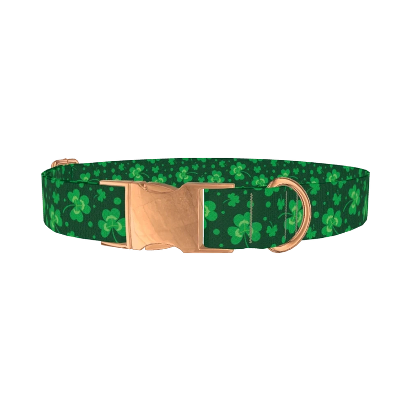 St. Patrick's Clover Dog Collar - metal rose gold
