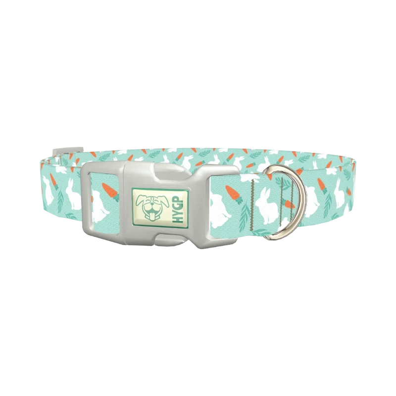 Carrot Bunny Dog Collar - plastic silver