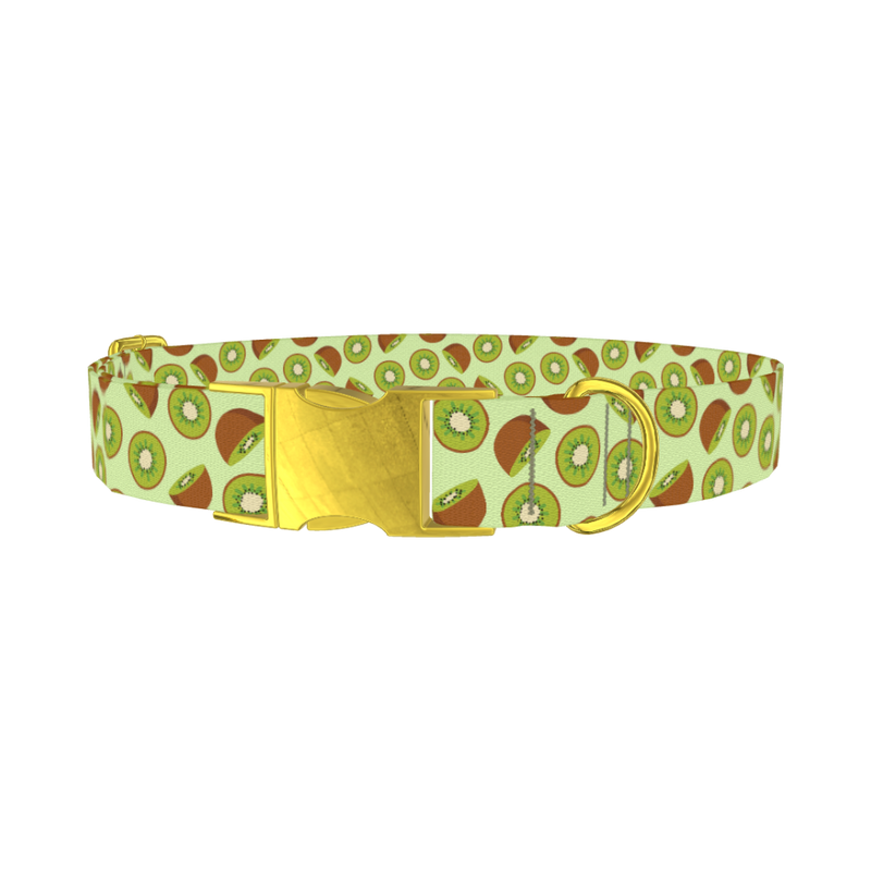 Kiwi Fruit Dog Collar - metal gold