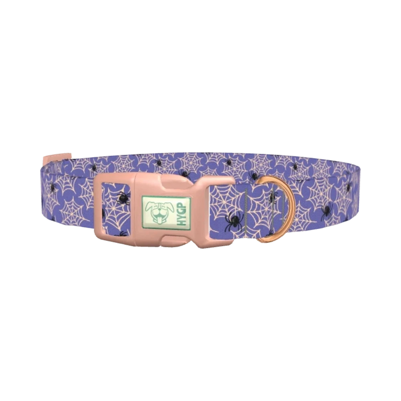 Spider Web Halloween Dog Collar - plastic rose gold
