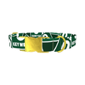 Key West Road Sign Dog Collar - metal gold