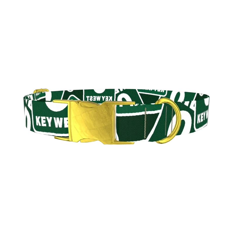 Key West Road Sign Dog Collar - metal gold