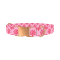 Coral Reef Dog Collar - metal rose gold
