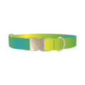 Gradient Color Dog Collar - metal silver