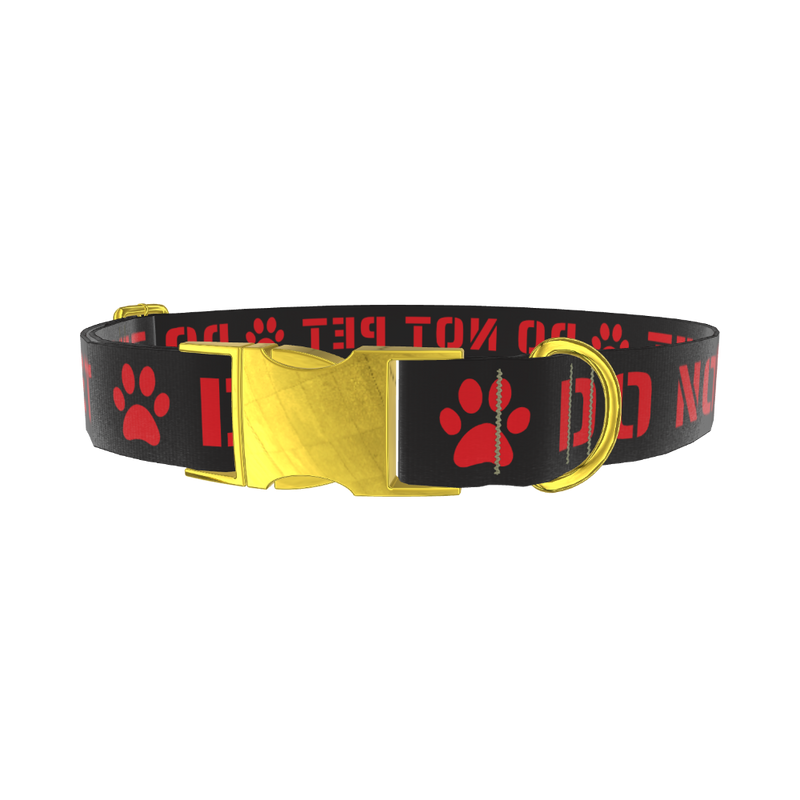 Warning Sign Dog Collar - metal gold