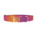 Gradient Pattern Dog Collar - metal rose gold