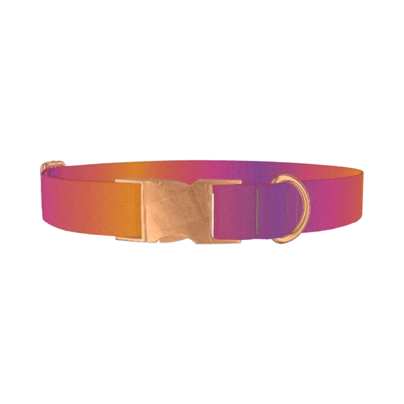 Gradient Pattern Dog Collar - metal rose gold