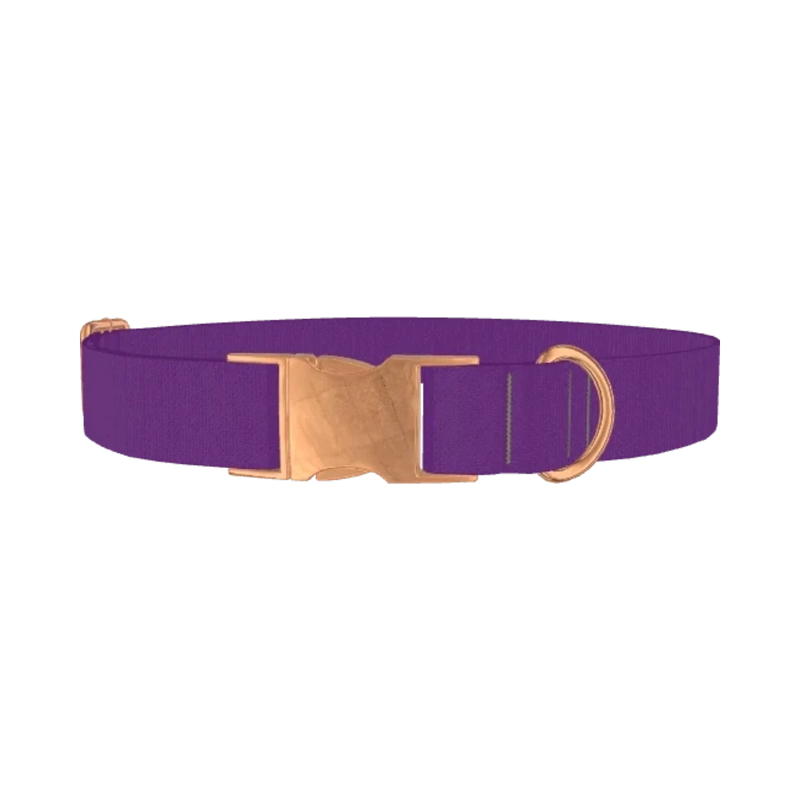 Maximum Purple Color Dog Collar - metal rose gold