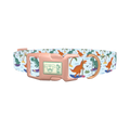 Dinosaur Surf Dog Collar - plastic rose gold