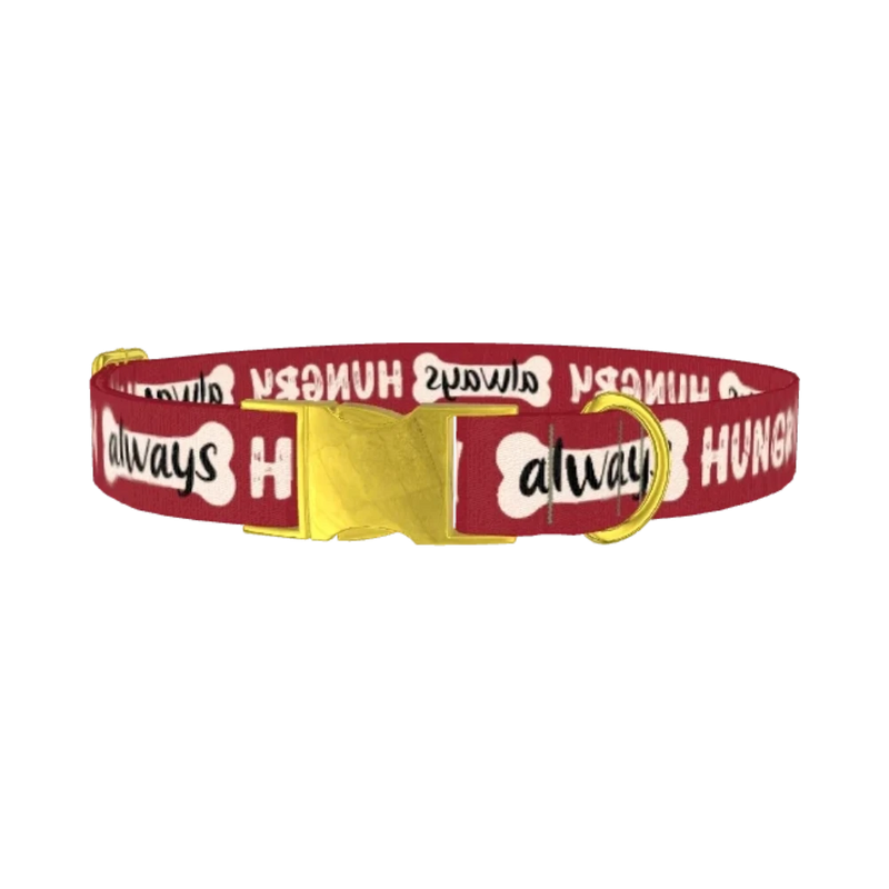 Always Hungry Dog Collar - metal gold
