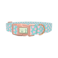 Pastel Valentine Heart Dog Collar - plastic rose gold
