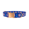 Nautical Lifebuoy Dog Collar - metal silver