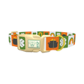 Rainbow Luck Dog Collar - plastic gold