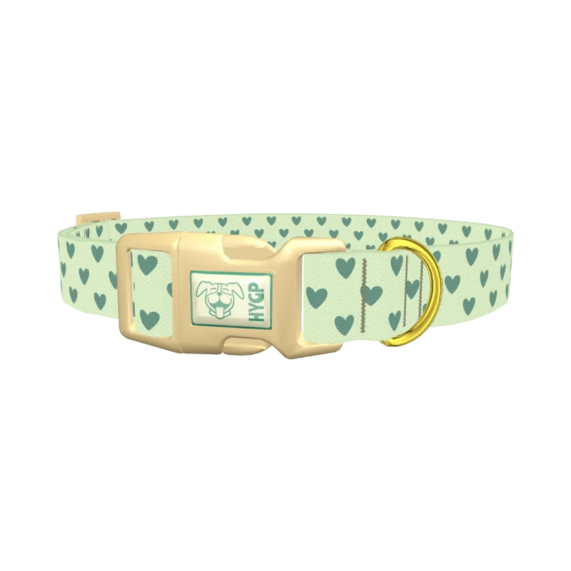Light Green Heart Dog Collar - plastic gold