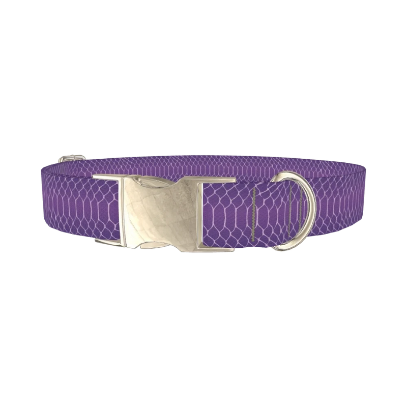 Purple Snake Print Dog Collar - metal silver