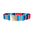 Vivid Stripe Dog Collar - metal silver