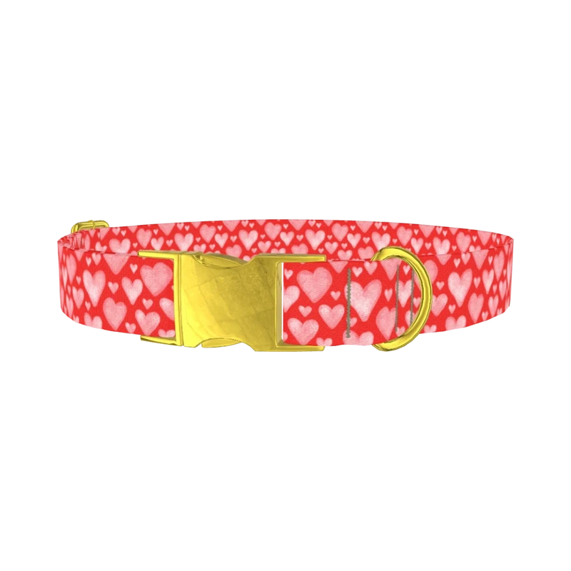 Watercolor Heart Dog Collar - metal gold
