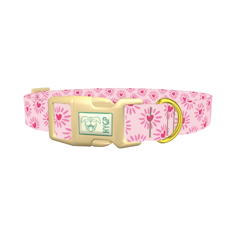 Heart Burst Dog Collar - plastic gold