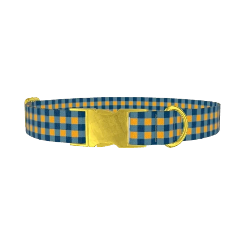 Yellow Blue Checkered Dog Collar - metal gold