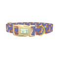 Corgi Heart Dog Collar - plastic gold